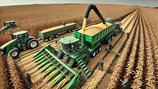 How to Harvest Billions of Pounds of Corn Daily  US Farmers with gigantic machines [upl. by Orson]