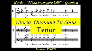 Haydn  Missa In Tempore Belli  Paukenmesse  2c Gloria Quoniam tu solus  Tenor [upl. by Alehtse]