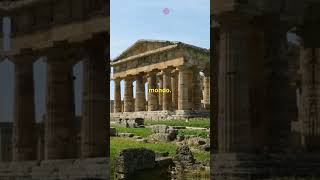 Parco archeologico di Paestum foryou storia history italia italy tendenze italianhistory [upl. by Ellon17]