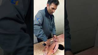 How to gut and fillet a trout fishcutting [upl. by Larry]