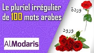 Le pluriel irrégulier de 100 mots arabes [upl. by Melinda722]