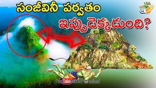 Facts About Sanjeevani The Herb That Could Revive A Dead Person  సంజీవినీ జాడ దొరికిందా  With CC [upl. by Ecitnerp]