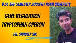 Tryptophan Operon  Bsc 3rd sem zoology Regulation of gene expression in prokaryotes [upl. by Kealey371]