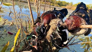 Mississippi River Canoe Duck Hunting Catch Clean Cook [upl. by Enelrak]