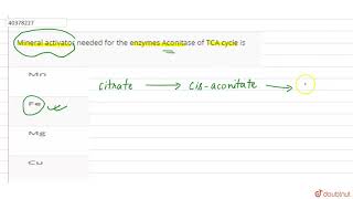 Mineral activator needed for the enzymes Aconitase of TCA cycle is [upl. by Bastian]