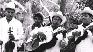 Las mejores polkas con Los Camperos de Valles Y de pilón Tamaulipas album completo [upl. by Dlaregztif451]