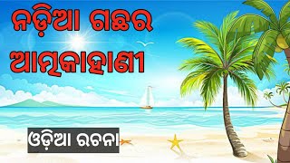 ନଡ଼ିଆ ଗଛର ଆତ୍ମକାହାଣୀ nadia gachacartoon storymoral storyodia gapaaima kahaniviral vedio vlog [upl. by Akeme378]