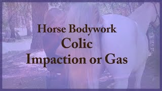 Horse Bodywork  Colic  Impaction or Gas Relief [upl. by Aala]