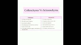 Differences between Collenchyma and SclerenchymaTissueClass9th Biologyshorts biologynote class9 [upl. by Gerfen]