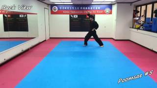 Taekwondo  Poomsae 5 Oh Jang Slowmotion amp Mirror [upl. by Iphlgenia]