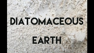 Diatomaceous Earth Two Week Review [upl. by Dlawso]