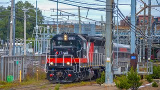 New Haven Line Afternoon Amtrak amp CTrail Trains  New Haven CT [upl. by Statis45]