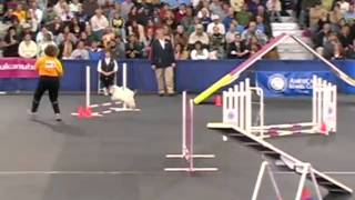 Finals Round Agility  Lucky [upl. by Krischer810]