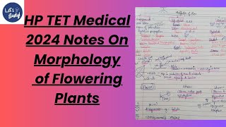 HP TET Medical  Morphology of Flowering Plant Notes 2024  Ncert Class 1 notes [upl. by Derreg]