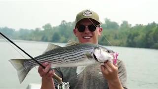 Lost Coast Outfitters Presents  Fly Fishing the Lower Sacramento For Stripers [upl. by Garlinda]