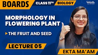 Morphology in Flowering Plants Class 11 L5  Class 11 Biology Chapter 5  CBSE 2024  Ekta Mam [upl. by Carrnan]