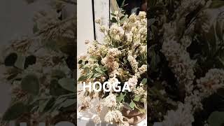 HOOGA [upl. by Wallace]