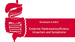 Exokrine Pankreasinsuffizienz Ursachen und Symptome [upl. by Oiramaj784]