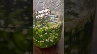 Today on the Homestead Spicing It Up  Creating Homemade Fermented Pepper Paste Part 1 shorts [upl. by Atims]