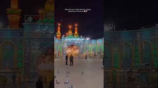 Ziyarat e Imam Hussain ع۔ at Karbala [upl. by Gaven]