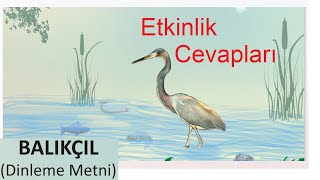 Balıkçıl Metni Etkinlik Cevapları 6 Sınıf Türkçe [upl. by Fairlie]