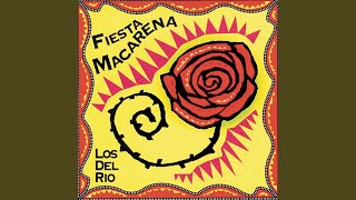 Macarena River ReMix [upl. by Hsatan]