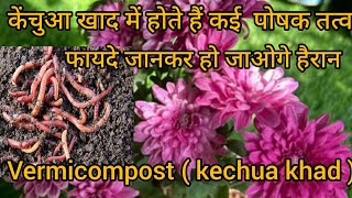 केंचुआ खाद में होते हैं कहीं पोषक तत्व जानिए वीडियो में कुछ जानकारी Vermicompost  kechua khad [upl. by Steiner]