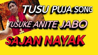 TUSU KE ANITE JABO TUSU SONG টুচু গীত by Sajan Nayak [upl. by Cherida]