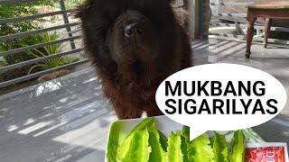 MUKBANG SIGARILYAS [upl. by Corneille]