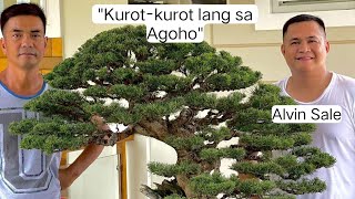 quotKurotkurot lang sa Agohoquot bonsai [upl. by Cowen]