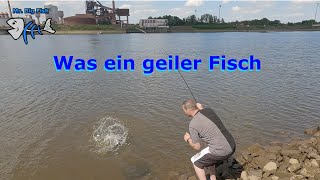 Hiermit ist der Erfolg garantiert Was ein Fisch Spinnfischen mit Seitenarm [upl. by Dionis]