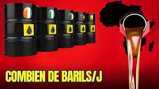 Les 5 principaux raffineurs en Afrique  Une surprise vous attend [upl. by Bello957]