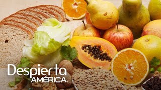 Alimentos ricos en fibra que limpian el corazón páncreas y colon [upl. by Kahle]