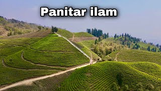 ilame Sahar Chiyabari Ramro  Best place to visit in Nepal  Panitar ilam  Drone shot [upl. by Hiltan712]