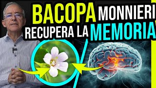 BACOPA MONNIERI El Secreto De La HIERBA DE LA MEMORIA  Oswaldo Restrepo RSC [upl. by Tnecillim]