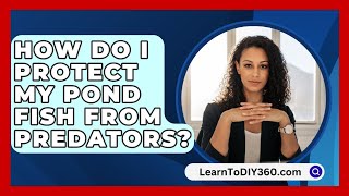 How Do I Protect My Pond Fish From Predators  LearnToDIY360com [upl. by Luise]