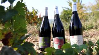 Vins du Pic Saint Loup  Mas Foulaquier [upl. by Iredale201]