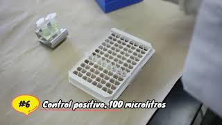 Determinación de anticuerpos antitoxoplasma ELISA indirecta [upl. by Siger871]