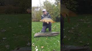 Karpervissen 14112024 fishing angling carp karper [upl. by Rubma]