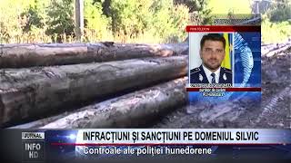 INFRACȚIUNI ȘI SANCȚIUNI PE DOMENIUL SILVIC [upl. by Licht224]