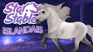 Achat ISLANDAIS GRIS de lapplication  Star Stable  SSO [upl. by Pedrotti]