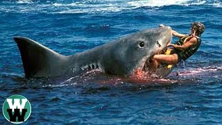 10 DEADLIEST Shark Attack Stories [upl. by Yracaz]