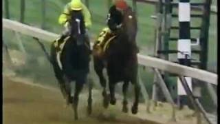 1989 Preakness Stakes  Easy Goer vs Sunday Silence [upl. by Leval]