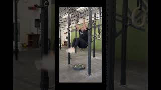 Standing plate Toes to Bar drill shorts crossfit crossfitgymnastics [upl. by Ecinuahs]