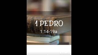 1 PEDRO 11419a [upl. by Atwekk544]