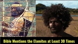 Shem amp The Elamites in the Bible  Sons of Shem Series [upl. by Alusru144]