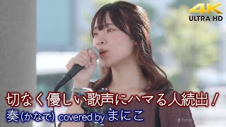 【 歌うま 】切なく優しい歌声にハマる人続出！ 奏かなで  スキマスイッチ（ covered by まにこ ）4K映像 [upl. by Yrrol526]