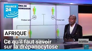 Drépanocytose maladie génétique le tueur silencieux en Afrique • FRANCE 24 [upl. by Atiuqihs]