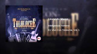 Llorando Mares  Inteligencia Nortena En Vivo Con Tololoche Vol 1 [upl. by Cyrill870]