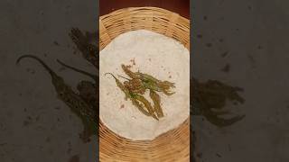 भाकरी सोप्या पद्धतीने to make the healthy and delicious Jowar Roti shortsyoutubeshorts shortyt [upl. by Eelah204]